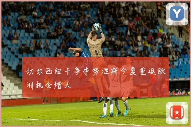 切尔西纽卡争夺努涅斯今夏重返欧洲机会增大