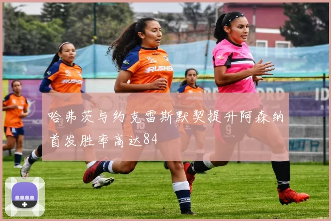 哈弗茨与约克雷斯默契提升阿森纳首发胜率高达84