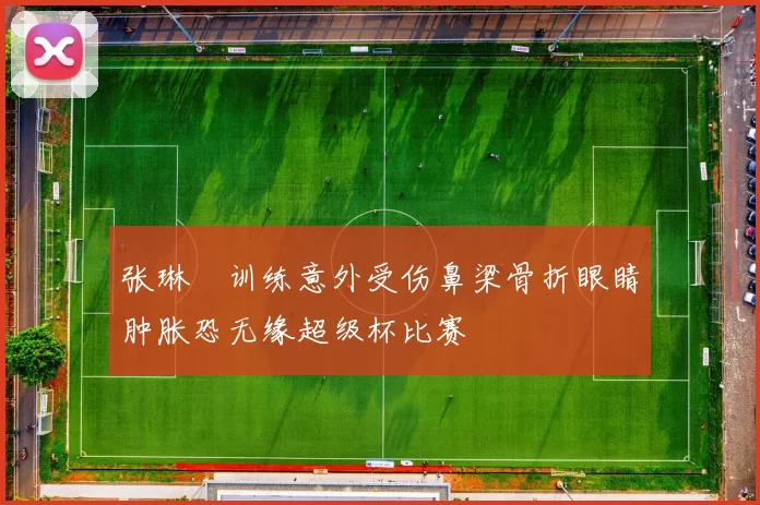 张琳芃训练意外受伤鼻梁骨折眼睛肿胀恐无缘超级杯比赛